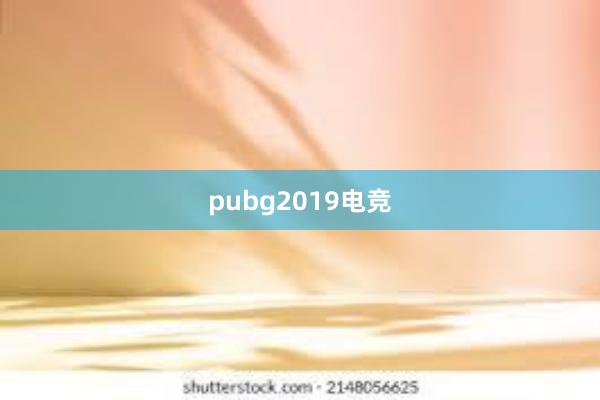 pubg2019电竞