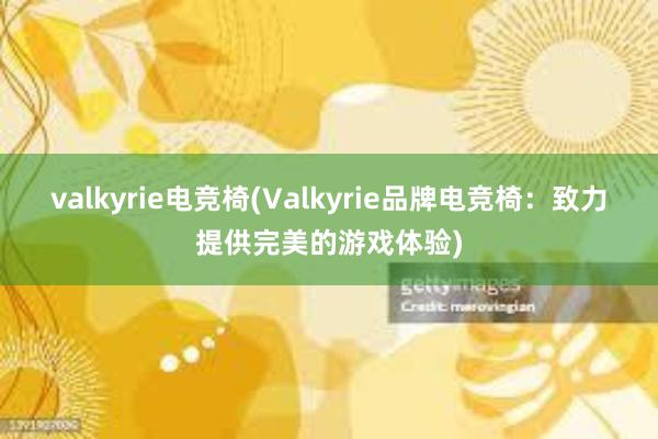 valkyrie电竞椅(Valkyrie品牌电竞椅：致力提供完美的游戏体验)