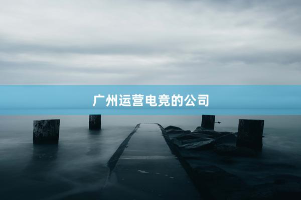 广州运营电竞的公司