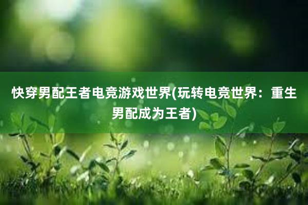 快穿男配王者电竞游戏世界(玩转电竞世界：重生男配成为王者)