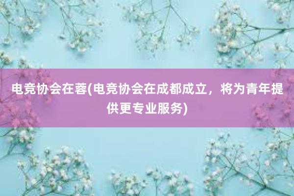 电竞协会在蓉(电竞协会在成都成立，将为青年提供更专业服务)