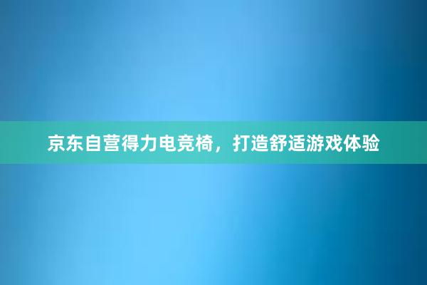 京东自营得力电竞椅，打造舒适游戏体验