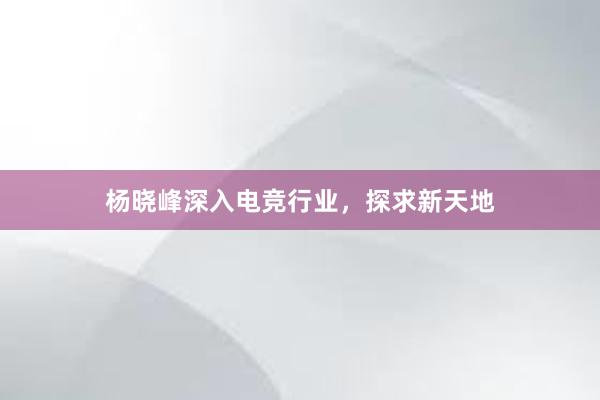 杨晓峰深入电竞行业，探求新天地