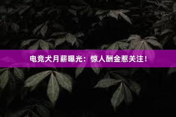 电竞犬月薪曝光：惊人酬金惹关注！