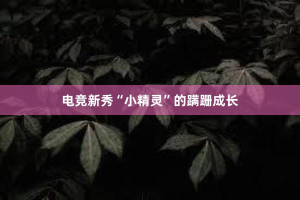 电竞新秀“小精灵”的蹒跚成长