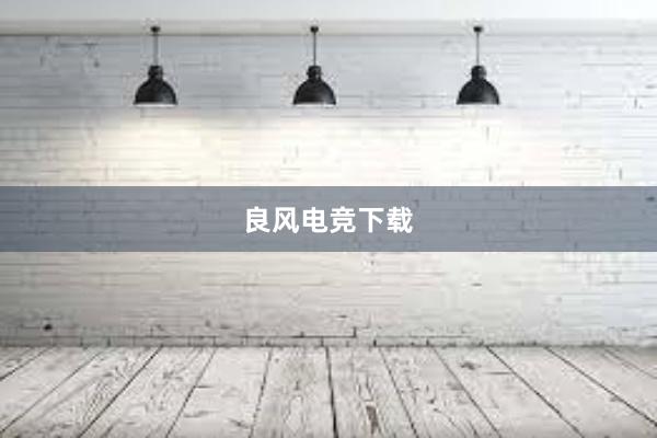 良风电竞下载