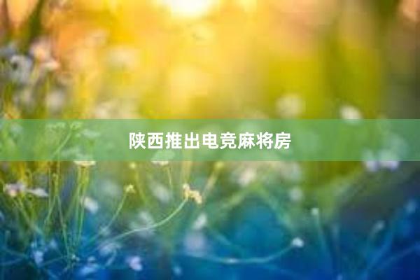 陕西推出电竞麻将房