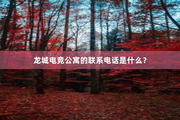 龙城电竞公寓的联系电话是什么？